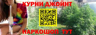 PSILOCYBIN Туймазы